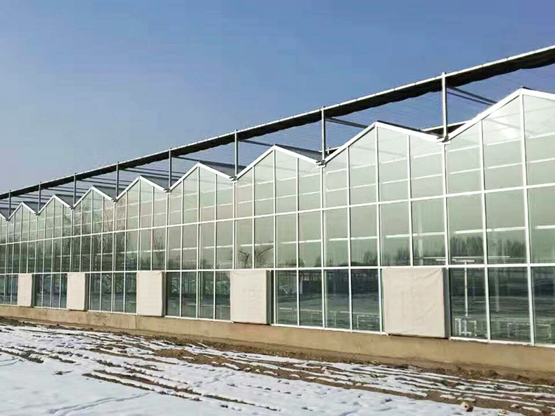 玻璃温室和塑料大棚哪个保温好？